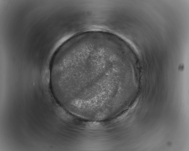 X0000102491317200808221721