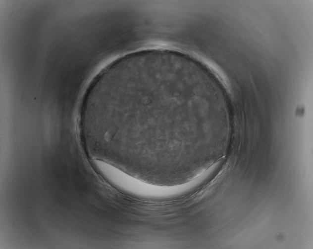 X0000102491318200808221721