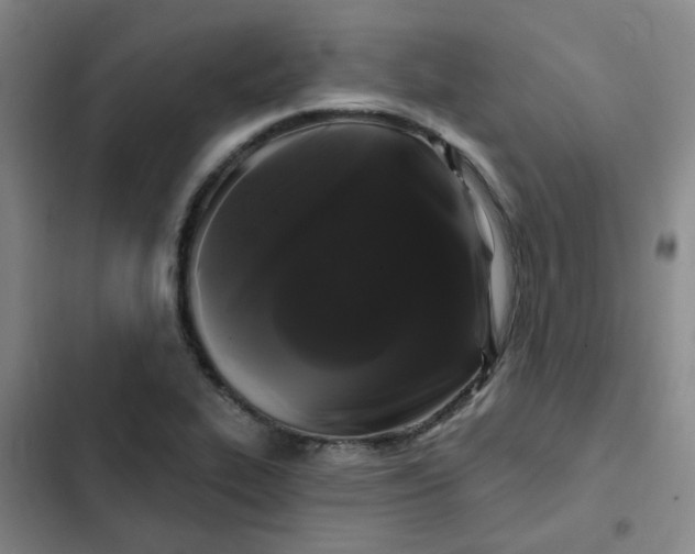 X0000102491319200808221721