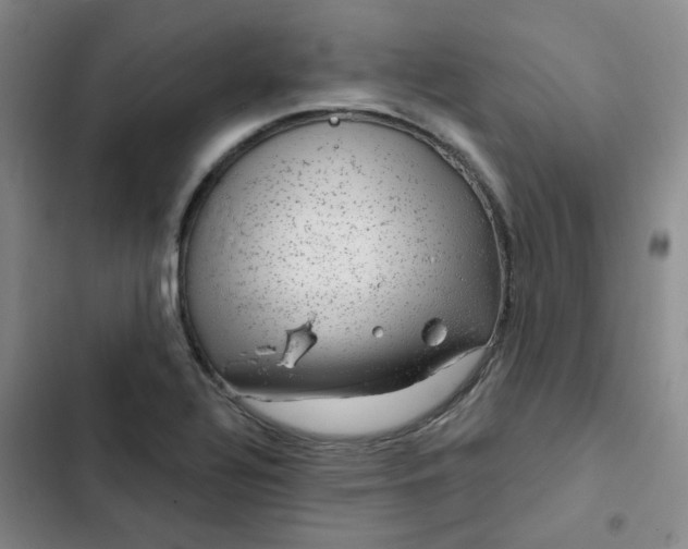 X0000102491320200808221721