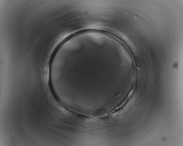 X0000102491323200808221721