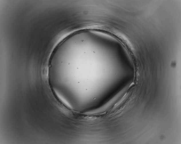 X0000102491324200808221721