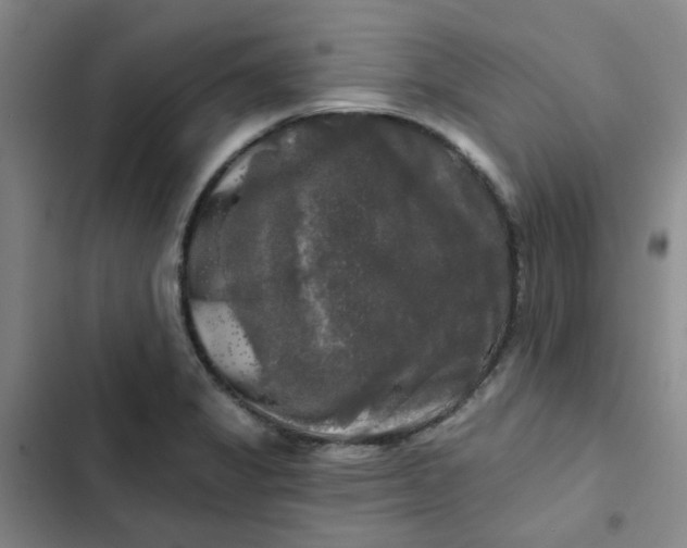 X0000102491325200808221721