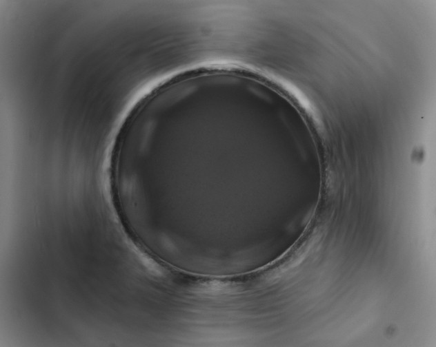 X0000102491327200808221721