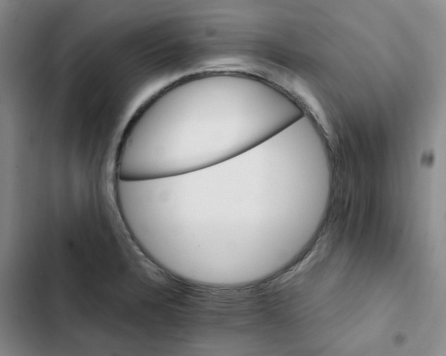 X0000102491328200808221721