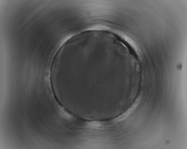 X0000102491329200808221721