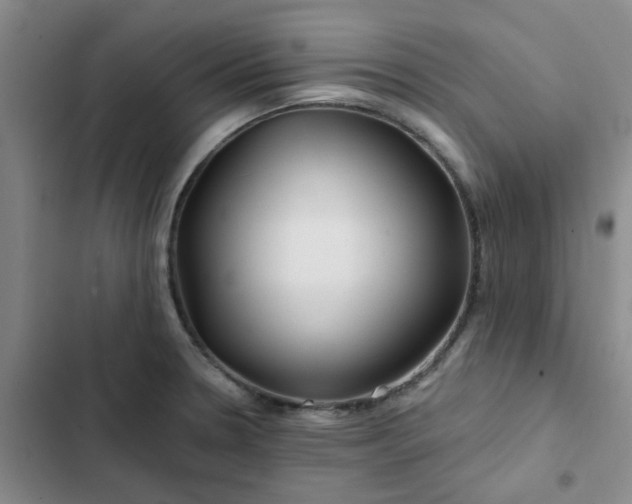 X0000102491330200808221721