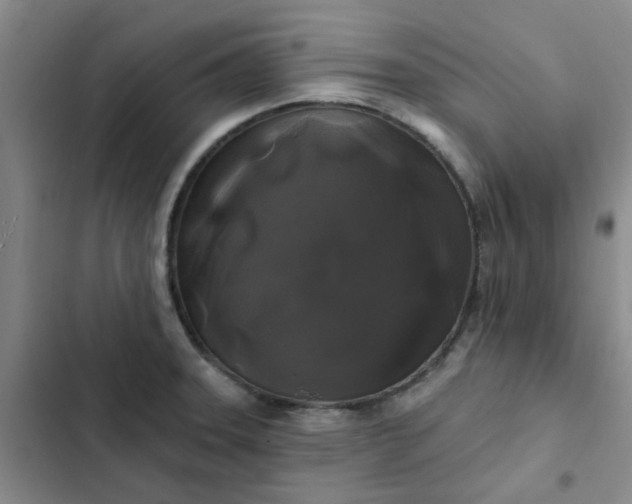 X0000102491331200808221721