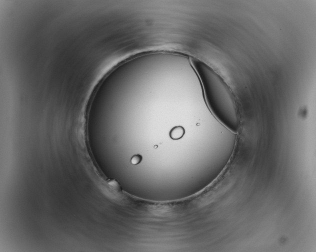 X0000102491332200808221721