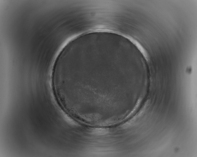 X0000102491333200808221721