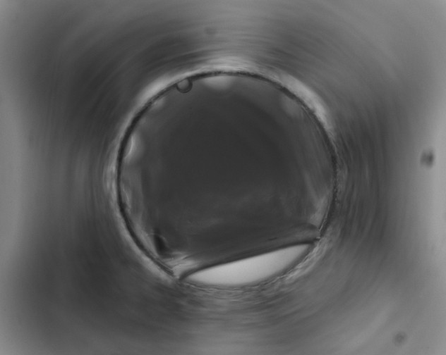 X0000102491334200808221721