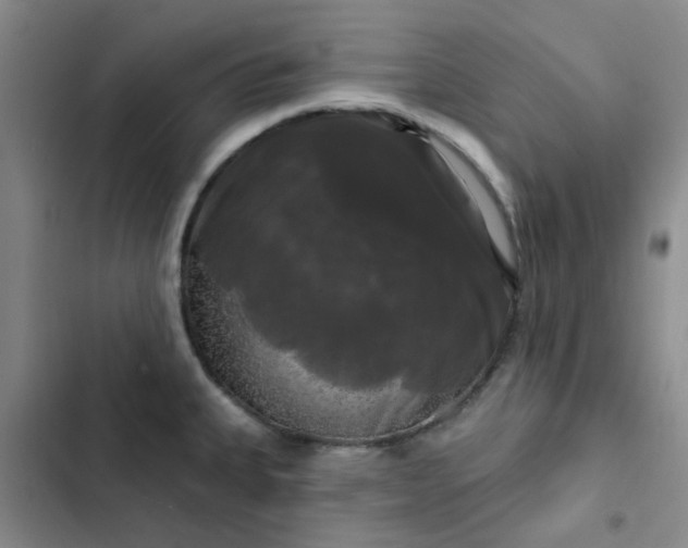 X0000102491335200808221721