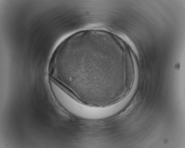 X0000102491336200808221721