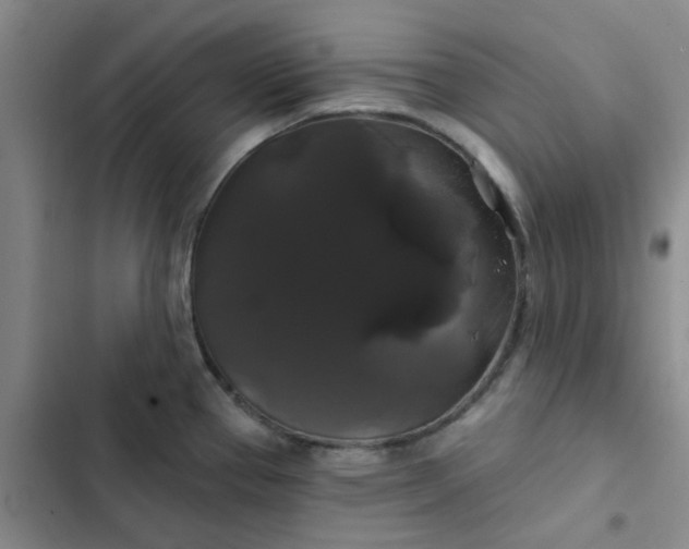 X0000102491337200808221721