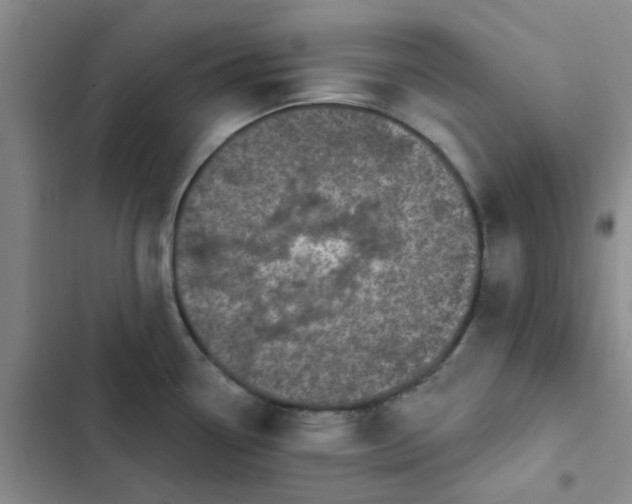 X0000102491338200808221721