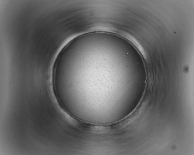 X0000102491339200808221721