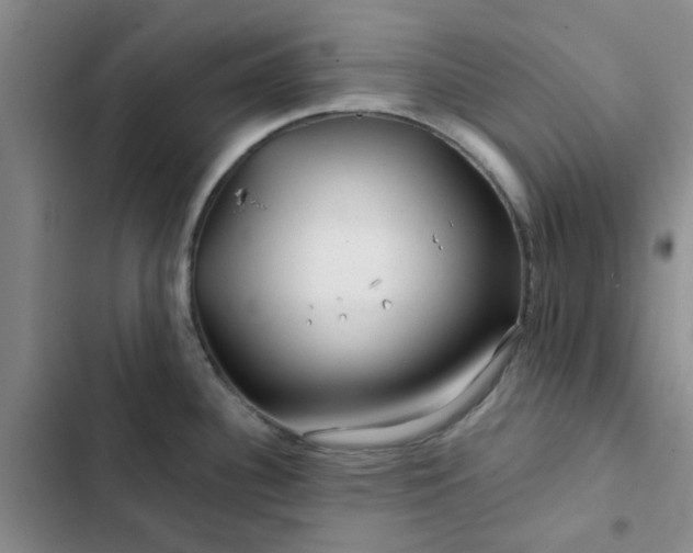 X0000102491340200808221721