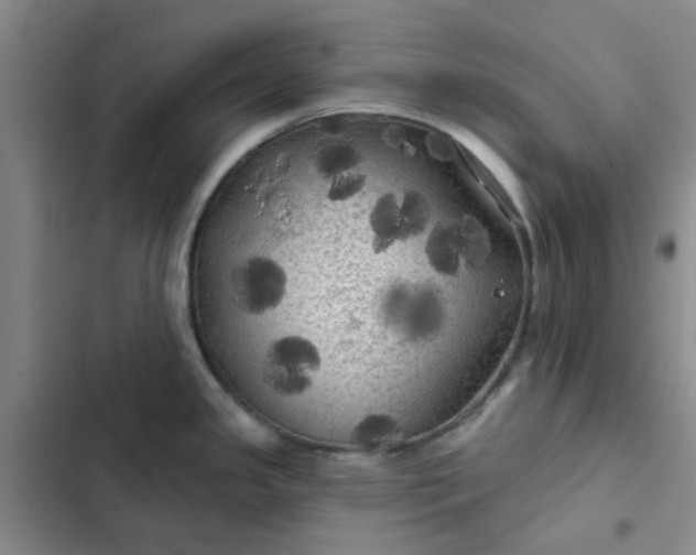 X0000102491341200808221721