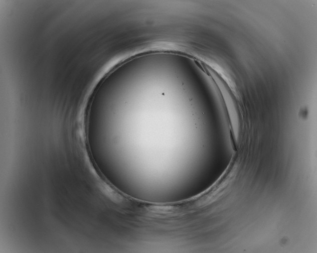 X0000102491342200808221721