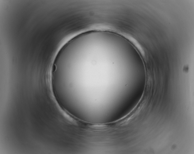 X0000102491343200808221721