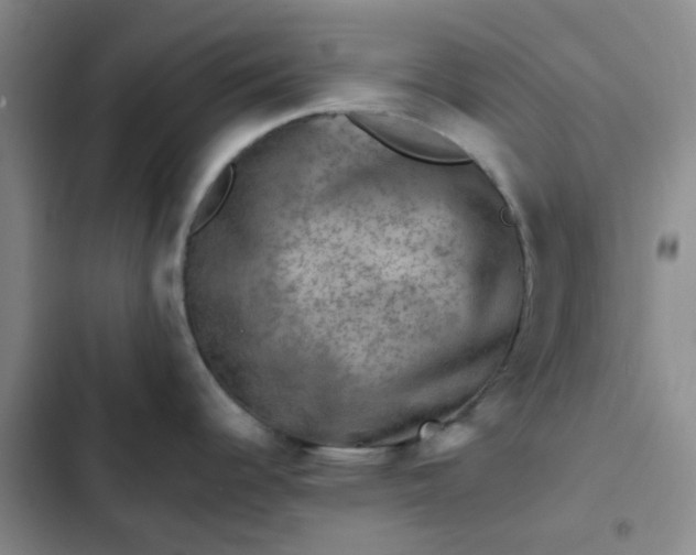 X0000102491344200808221721