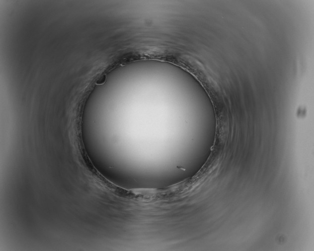 X0000102491345200808221721