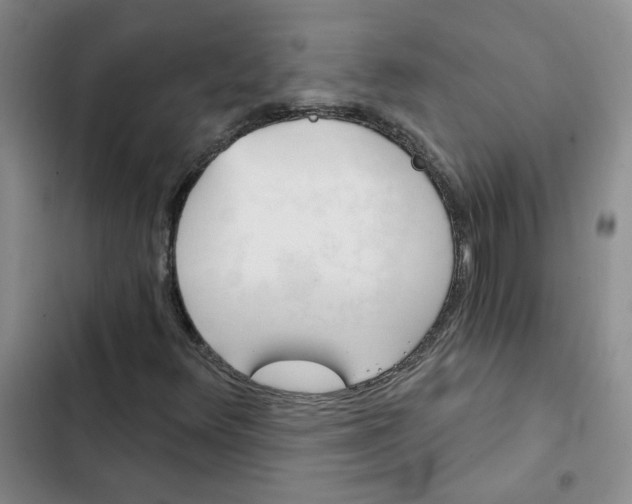 X0000102491348200808221721