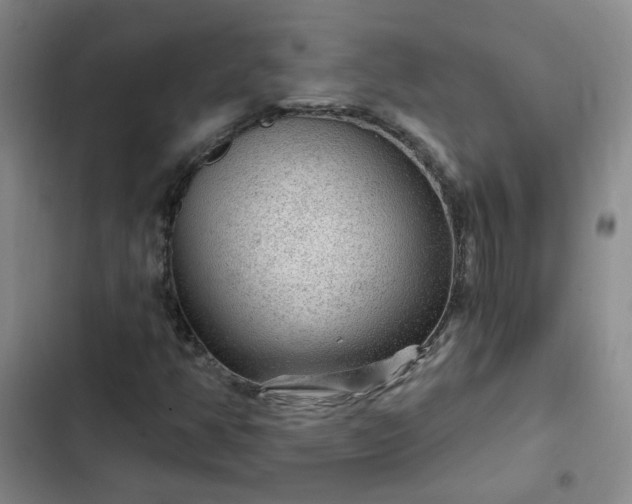 X0000102491350200808221721