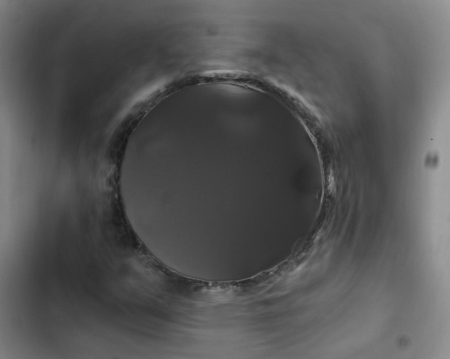 X0000102491351200808221721