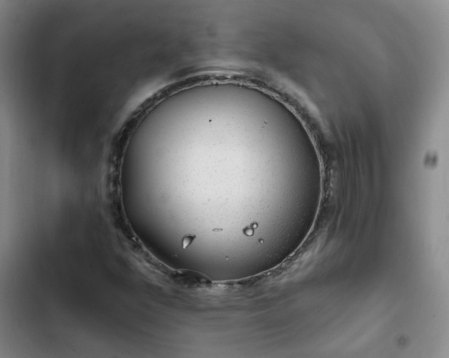 X0000102491352200808221721