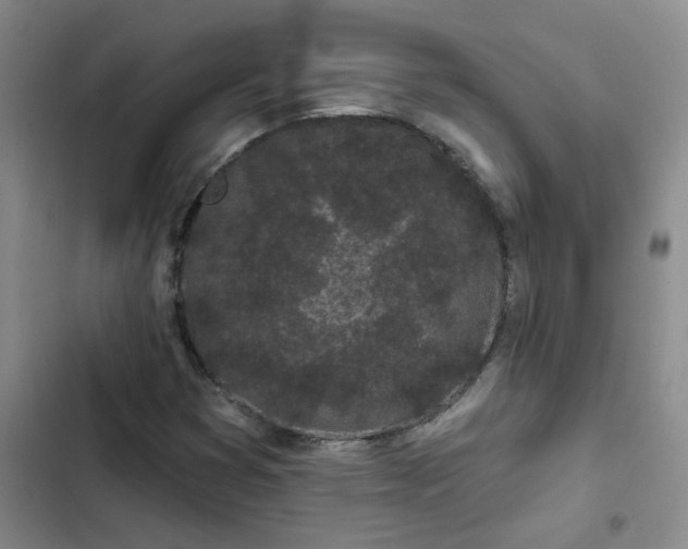 X0000102491353200808221721