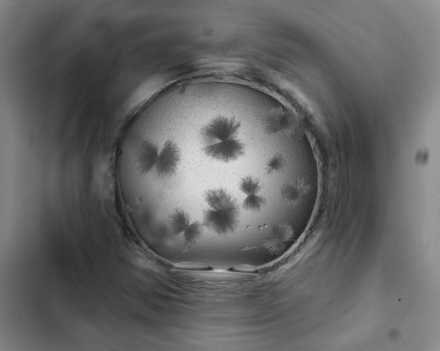 X0000102491354200808221721