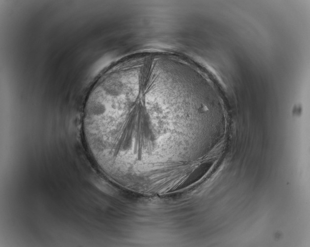 X0000102491355200808221721