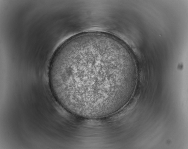 X0000102491356200808221721