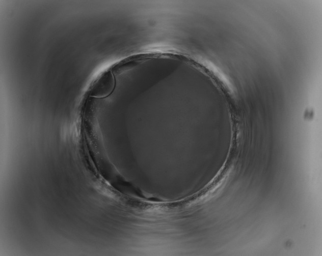 X0000102491358200808221721