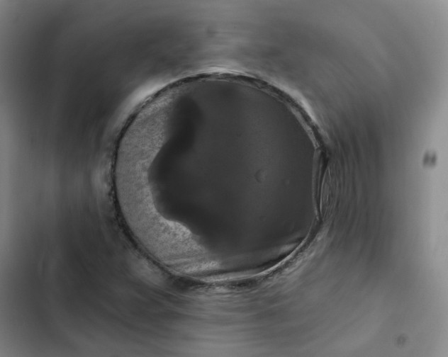 X0000102491359200808221721