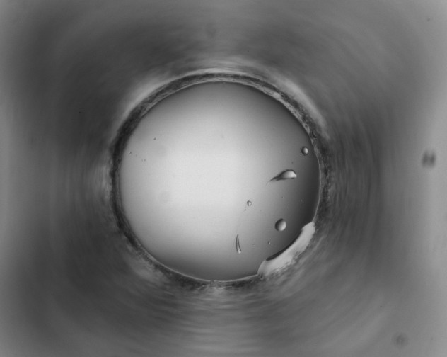 X0000102491360200808221721