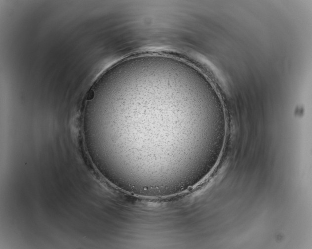 X0000102491361200808221720