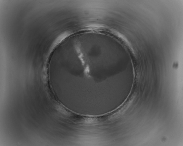 X0000102491362200808221720