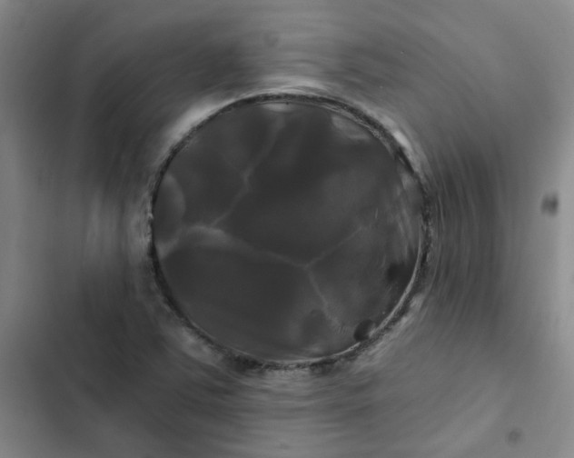 X0000102491363200808221720