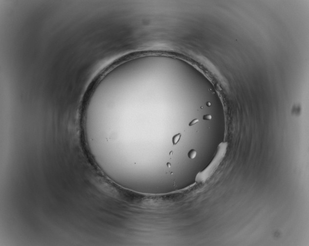 X0000102491364200808221720