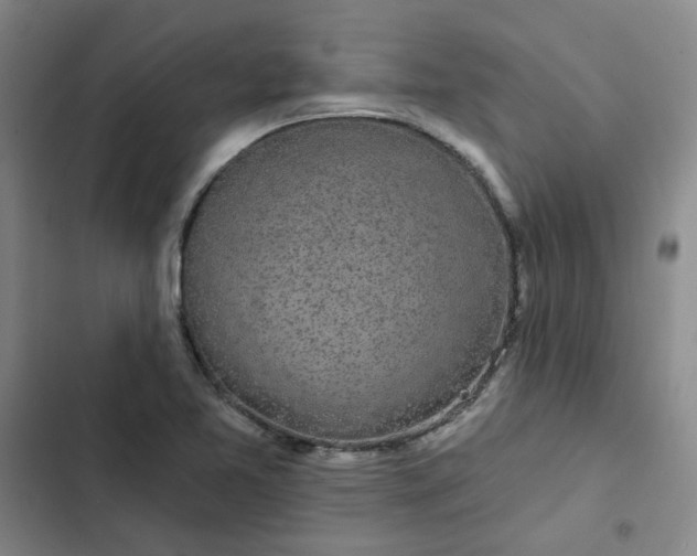 X0000102491365200808221720