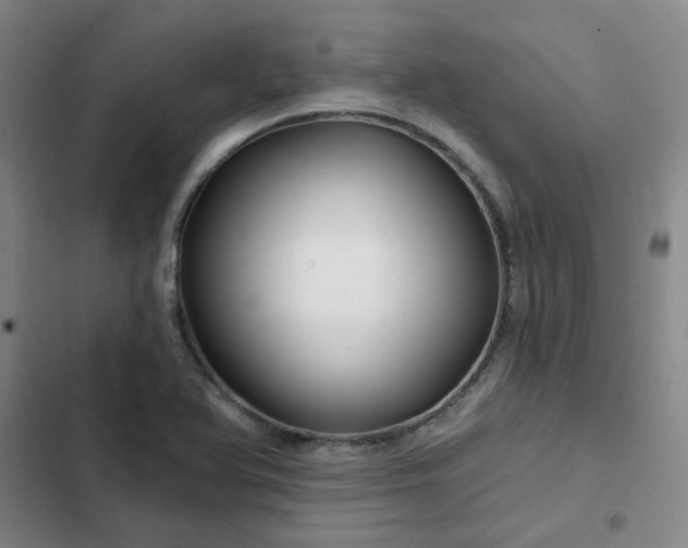 X0000102491366200808221720