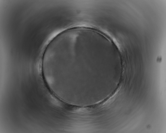 X0000102491367200808221720