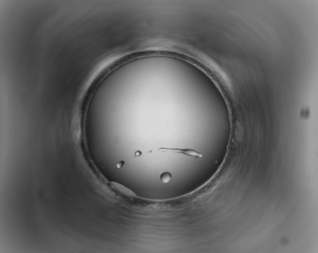 X0000102491368200808221720