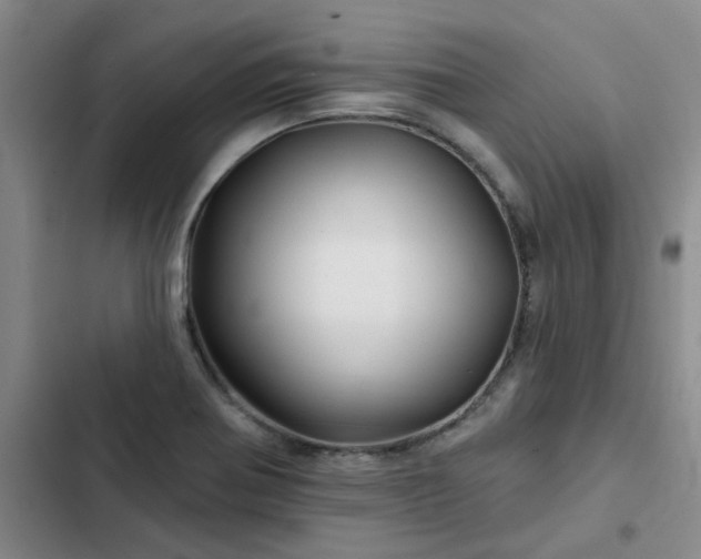 X0000102491370200808221720