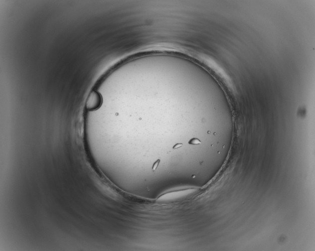 X0000102491372200808221720