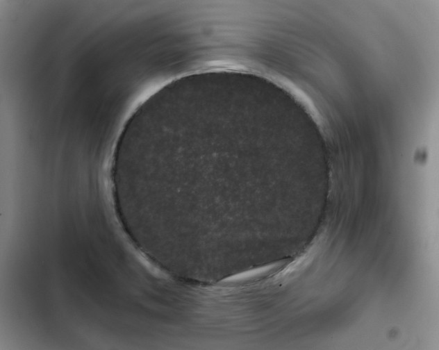 X0000102491373200808221720