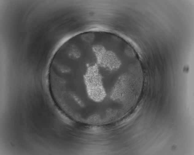 X0000102491375200808221720