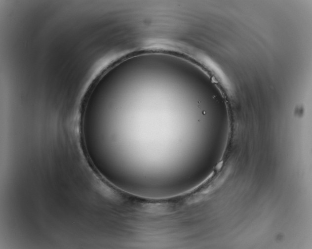 X0000102491376200808221720